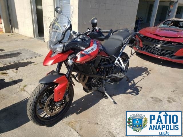TIGER 900 GT PRO
